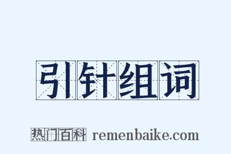 引针组词是什么意思的图片